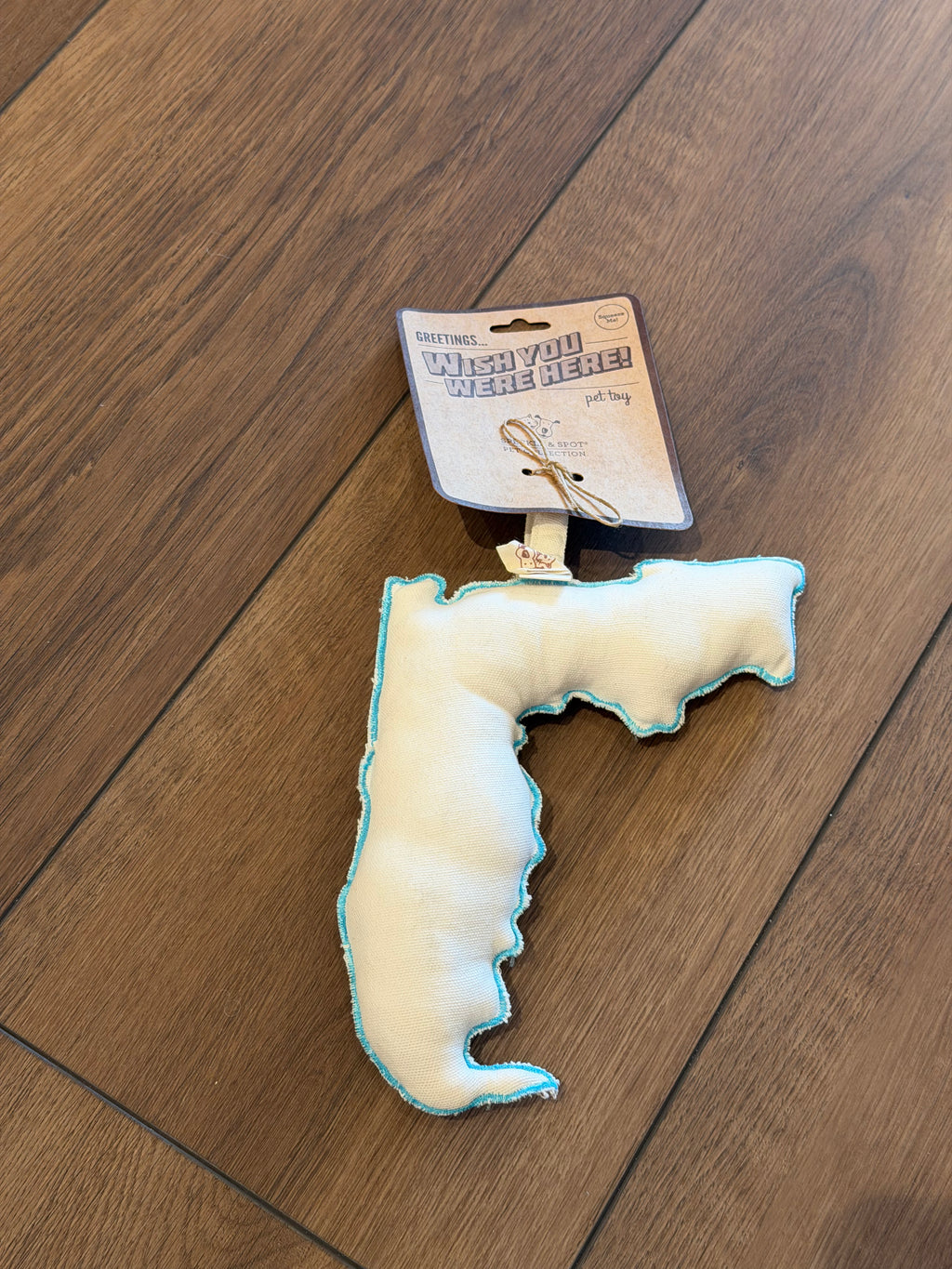 Wish U Were Here Florida Rope Dog Toy