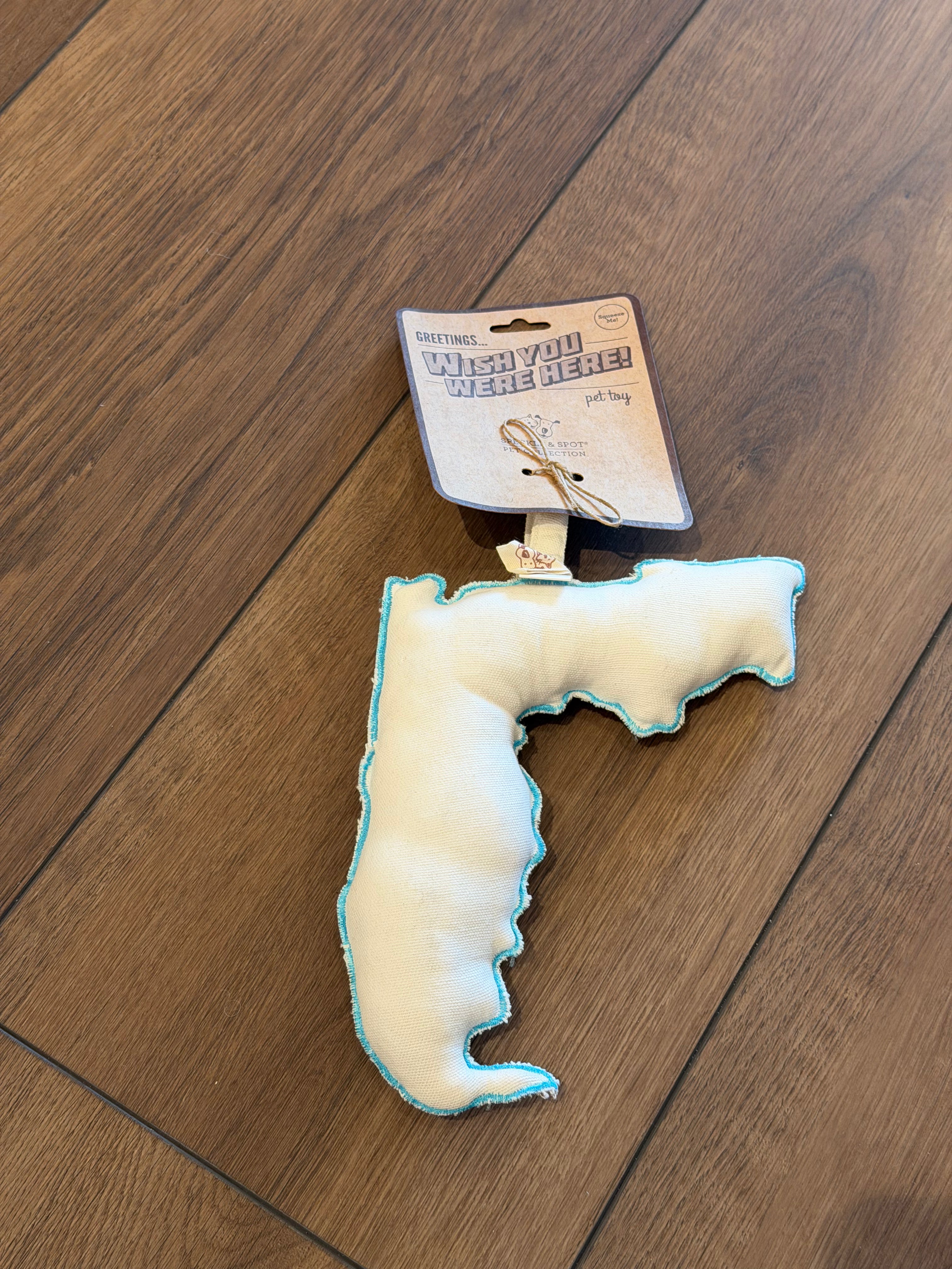 Wish U Were Here Florida Rope Dog Toy